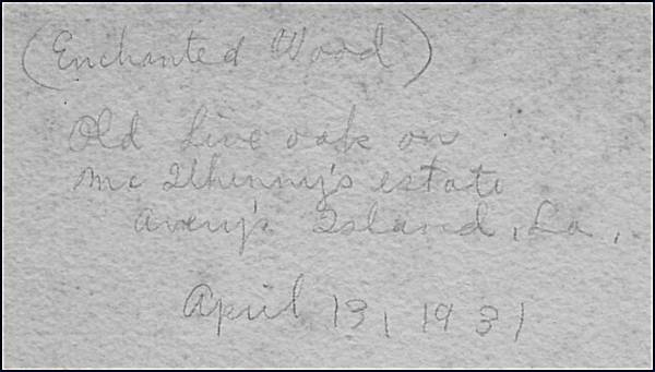 a5anback.jpg - 29821 Bytes