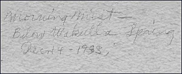 a5auback.jpg - 24034 Bytes