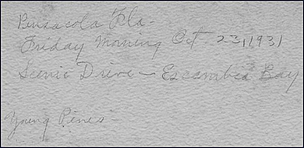 a5awback.jpg - 32711 Bytes