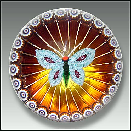 zl785Butterfly.jpg - 54253 Bytes