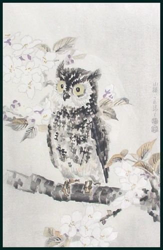 99dbaKotozuka.jpg - 33174 Bytes